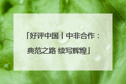 好评中国丨中非合作：典范之路 续写辉煌
