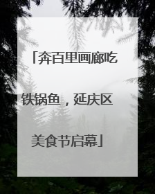 奔百里画廊吃铁锅鱼，延庆区美食节启幕