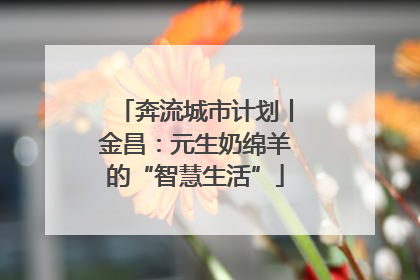 奔流城市计划丨金昌：元生奶绵羊的“智慧生活”