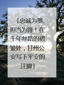 忠诚为墨、担当为锋！在千年丝路的褶皱处，甘州公安写下平安的注脚