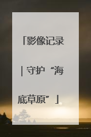 影像记录｜守护“海底草原”