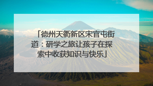 德州天衢新区宋官屯街道：研学之旅让孩子在探索中收获知识与快乐