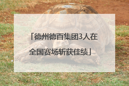 德州德百集团3人在全国赛场斩获佳绩