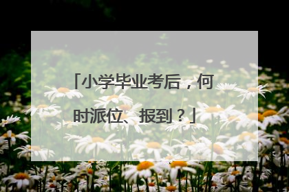 小学毕业考后，何时派位、报到？