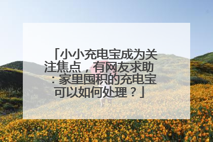 小小充电宝成为关注焦点，有网友求助：家里囤积的充电宝可以如何处理？