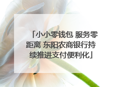 小小零钱包 服务零距离 东阳农商银行持续推进支付便利化