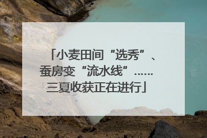 小麦田间“选秀”、蚕房变“流水线”……三夏收获正在进行