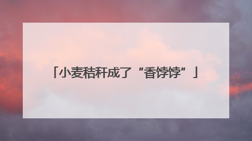 小麦秸秆成了“香饽饽”