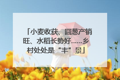 小麦收获、圆葱产销旺、水稻长势好……乡村处处是“丰”景