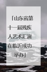 山东省第十一届残疾人艺术汇演在临沂成功举办