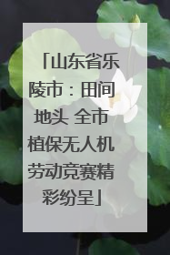 山东省乐陵市：田间地头 全市植保无人机劳动竞赛精彩纷呈