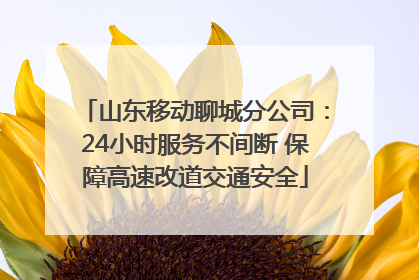 山东移动聊城分公司：24小时服务不间断 保障高速改道交通安全