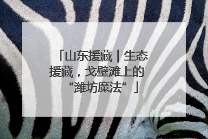 山东援藏｜生态援藏，戈壁滩上的“潍坊魔法”