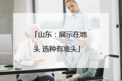 山东：展示在地头 选种有准头