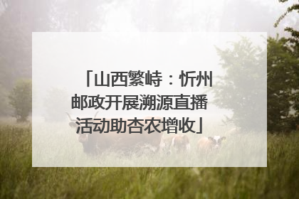 山西繁峙：忻州邮政开展溯源直播活动助杏农增收