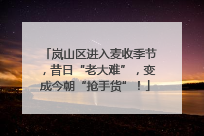 岚山区进入麦收季节，昔日“老大难”，变成今朝“抢手货”！