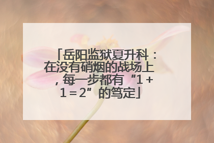 岳阳监狱夏升科：在没有硝烟的战场上，每一步都有“1＋1＝2”的笃定