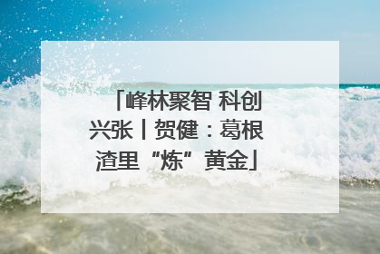 峰林聚智 科创兴张丨贺健：葛根渣里“炼”黄金