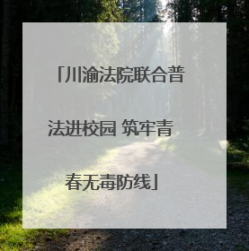 川渝法院联合普法进校园 筑牢青春无毒防线