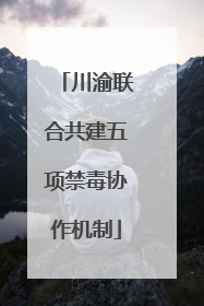 川渝联合共建五项禁毒协作机制