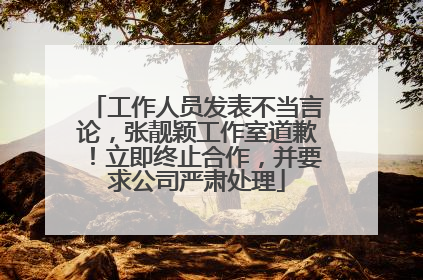 工作人员发表不当言论，张靓颖工作室道歉！立即终止合作，并要求公司严肃处理