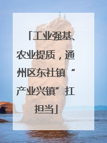 工业强基、农业提质，通州区东社镇“产业兴镇”扛担当