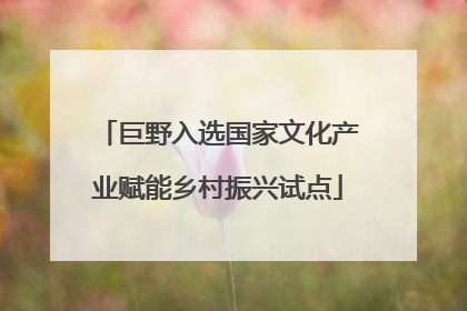 巨野入选国家文化产业赋能乡村振兴试点
