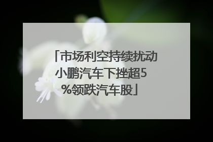 市场利空持续扰动 小鹏汽车下挫超5%领跌汽车股