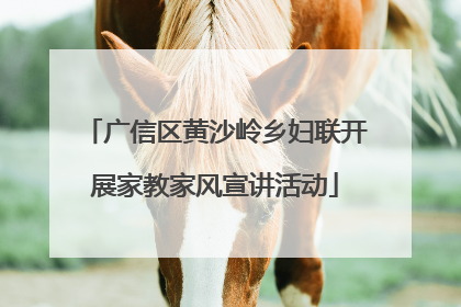 广信区黄沙岭乡妇联开展家教家风宣讲活动