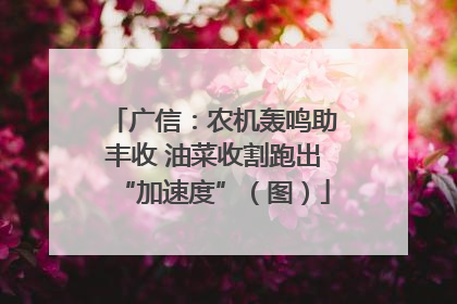 广信：农机轰鸣助丰收 油菜收割跑出“加速度”（图）