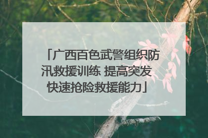 广西百色武警组织防汛救援训练 提高突发快速抢险救援能力