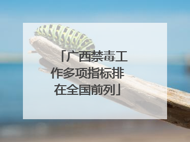 广西禁毒工作多项指标排在全国前列
