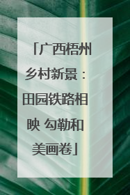 广西梧州乡村新景：田园铁路相映 勾勒和美画卷