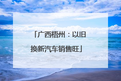 广西梧州：以旧换新汽车销售旺