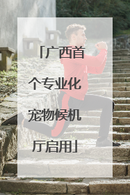 广西首个专业化宠物候机厅启用