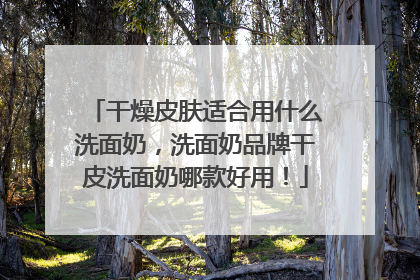 干燥皮肤适合用什么洗面奶，洗面奶品牌干皮洗面奶哪款好用！