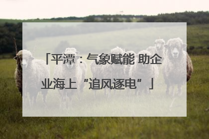 平潭：气象赋能 助企业海上“追风逐电”
