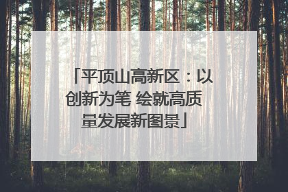 平顶山高新区：以创新为笔 绘就高质量发展新图景