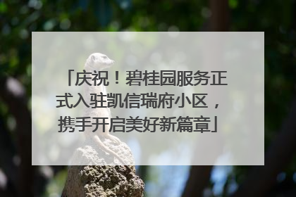 庆祝！碧桂园服务正式入驻凯信瑞府小区，携手开启美好新篇章
