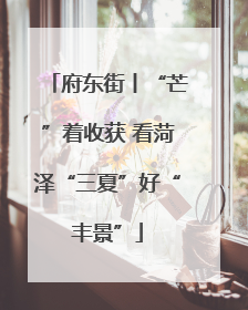 府东街丨“芒”着收获 看菏泽“三夏”好“丰景”