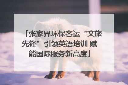 张家界环保客运“文旅先锋”引领英语培训 赋能国际服务新高度
