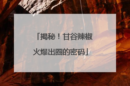 揭秘！甘谷辣椒火爆出圈的密码