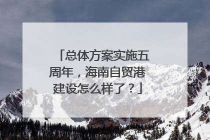 总体方案实施五周年，海南自贸港建设怎么样了？
