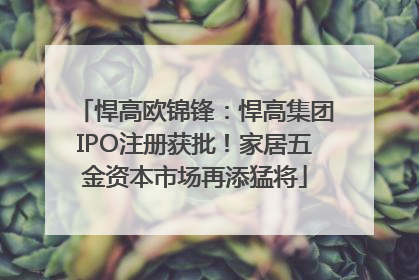 悍高欧锦锋：悍高集团IPO注册获批！家居五金资本市场再添猛将
