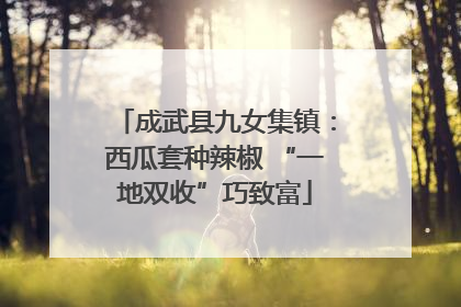 成武县九女集镇：西瓜套种辣椒 “一地双收”巧致富