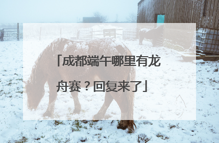 成都端午哪里有龙舟赛？回复来了