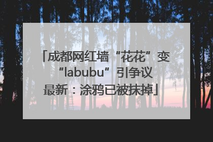成都网红墙“花花”变“labubu”引争议 最新：涂鸦已被抹掉