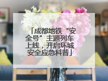 成都地铁“安全号”主题列车上线，开启环城安全应急科普