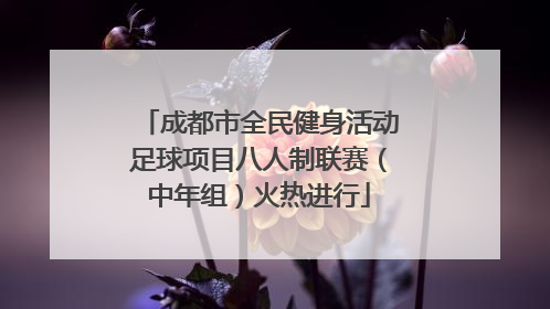 成都市全民健身活动足球项目八人制联赛（中年组）火热进行