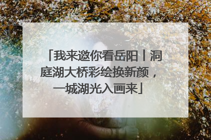 我来邀你看岳阳丨洞庭湖大桥彩绘换新颜，一城湖光入画来